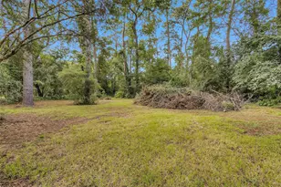 29526 W Hawthorne Dr, Spring, TX 77386 - Photo 11