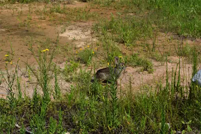 1353 Road 5727, Cleveland, TX 77327 - Photo 17