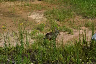 1353 Rd 5727, Cleveland, TX 77327 - Photo 17