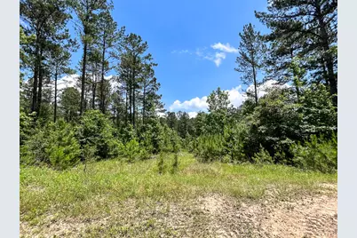 05 Highway 190, Oakhurst, TX 77359 - Photo 11