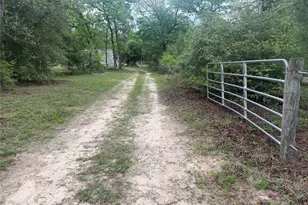 5312 Private Rd 2065, Centerville, TX 75833 - Photo 3