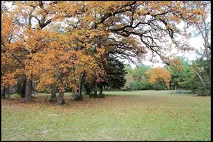 5312 Private Rd 2065, Centerville, TX 75833 - Photo 5