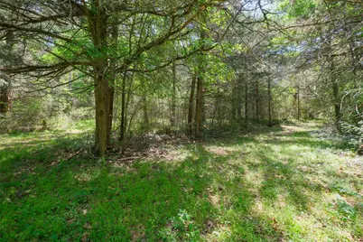 24718 Squirrel Road, New Ulm, TX 78950 - Photo 3