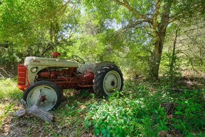 24718 Squirrel Road, New Ulm, TX 78950 - Photo 7