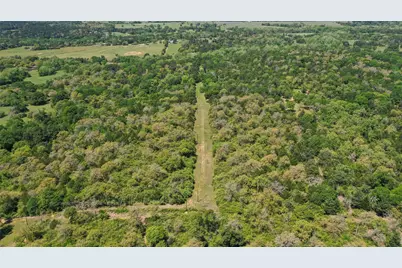 24718 Squirrel Road, New Ulm, TX 78950 - Photo 5