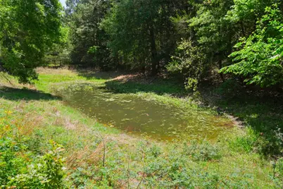 24718 Squirrel Road, New Ulm, TX 78950 - Photo 15