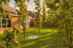 9522 Hanging Moss Trail, Houston, TX 77064 - Photo 33