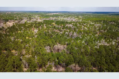 Tbd Tract 5 Triple Creek Loop, Livingston, TX 77351 - Photo 7
