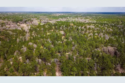 Tbd Tract 5 Triple Creek Loop, Livingston, TX 77351 - Photo 5