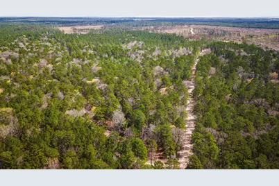 Tbd Tract 5 Triple Creek Loop, Livingston, TX 77351 - Photo 3