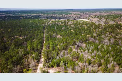 Tbd Tract 5 Triple Creek Loop, Livingston, TX 77351 - Photo 11