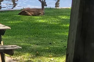 616 Marina Rd A East, Crockett, TX 75835 - Photo 7