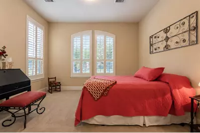 91 Lake View Loop, Fulshear, TX 77441 - Photo 29