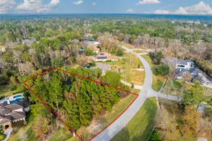 4227 Maple Rapids Ln, Spring, TX 77386 - Photo 5