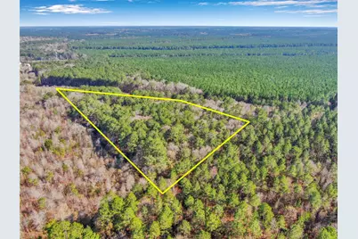 00 Pelican Road, Shepherd, TX 77371 - Photo 9