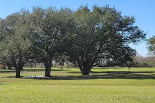 28302 Piney Corners, Waller, TX 77484 - Photo 11