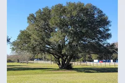 28302 Piney Corners, Waller, TX 77484 - Photo 5