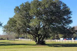 28302 Piney Corners, Waller, TX 77484 - Photo 5