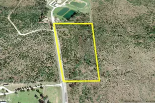 01 Wallace, Huntsville, TX 77320 - Photo 1