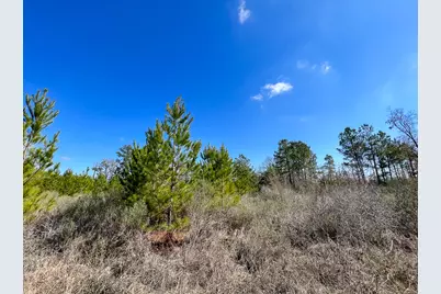 01 Wallace, Huntsville, TX 77320 - Photo 3