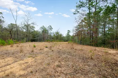 23506 High Meadow Estates Drive, Montgomery, TX 77316 - Photo 5