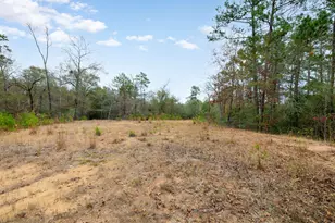 23506 High Meadow Estates Dr, Montgomery, TX 77316 - Photo 5