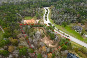 23506 High Meadow Estates Dr, Montgomery, TX 77316 - Photo 9