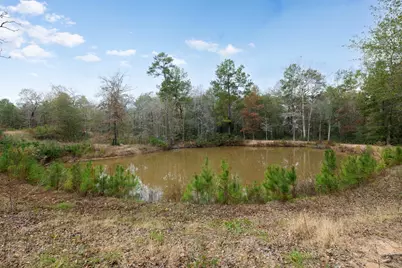 23506 High Meadow Estates Drive, Montgomery, TX 77316 - Photo 11