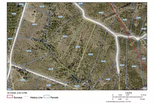 Tract 88 Robertson Road Rd, Lovelady, TX 77851 - Photo 1