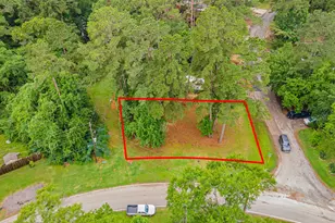 13149 S Lee Shore Dr, Willis, TX 77318 - Photo 1