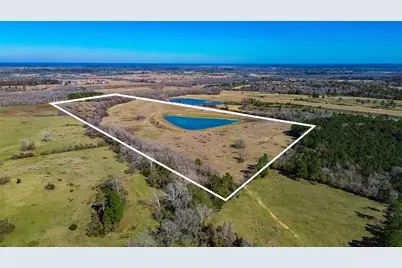 11560 County Road 203, Plantersville, TX 77363 - Photo 3