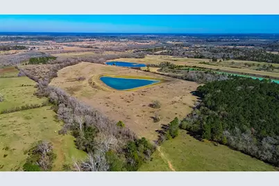 11560 County Road 203, Plantersville, TX 77363 - Photo 5