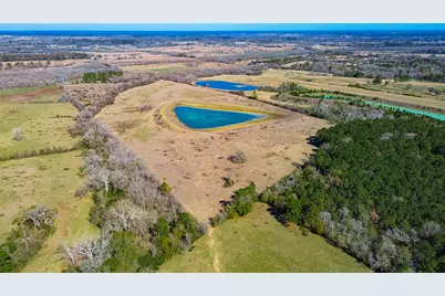 11560 County Road 203, Plantersville, TX 77363 - Photo 7