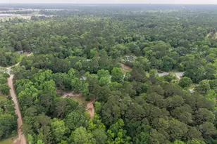 12981 FM 1485, Conroe, TX 77306 - Photo 11