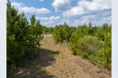 572 Robertson Road, Lovelady, TX 75851 - Photo 13