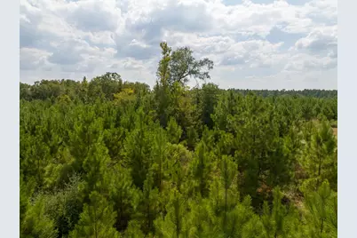 572 Robertson Road, Lovelady, TX 75851 - Photo 11