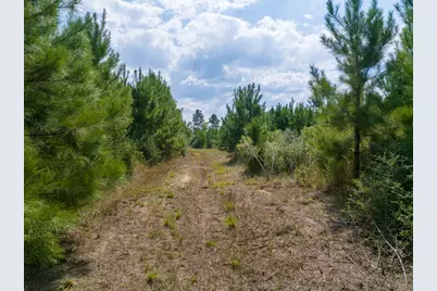 572 Robertson Road, Lovelady, TX 75851 - Photo 9