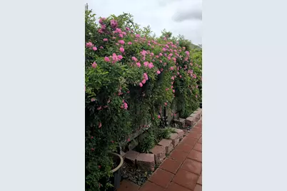 18406 Hilltop Climb Drive, Hockley, TX 77447 - Photo 33