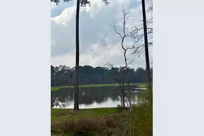 14910 Slough View Court, Magnolia, TX 77354 - Photo 35