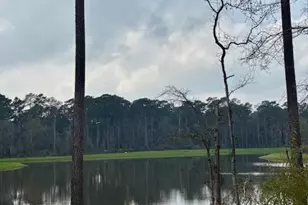 14910 Slough View Ct, Magnolia, TX 77354 - Photo 35