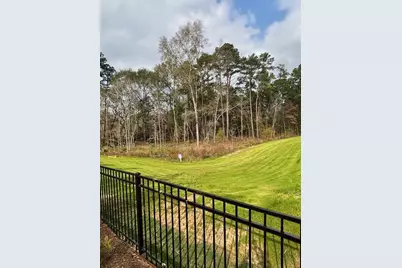 14910 Slough View Court, Magnolia, TX 77354 - Photo 3