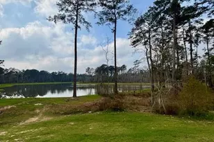 14910 Slough View Ct, Magnolia, TX 77354 - Photo 33