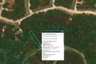 100 Bankside, Livingston, TX 77351 - Photo 1