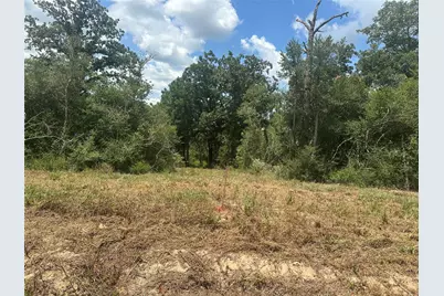 00 County Road 322, Jewett, TX 75846 - Photo 7
