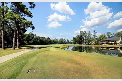 8 N Timber Top Drive, The Woodlands, TX 77380 - Photo 13