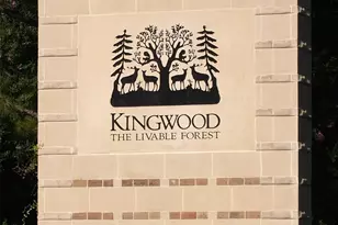 3810 Glenwood Springs Dr, Kingwood, TX 77345 - Photo 47