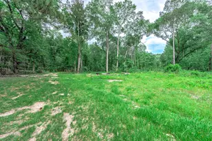 51 N Winter Creek, Cleveland, TX 77328 - Photo 27