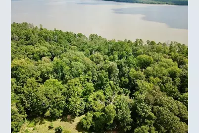 11.5 Acs Fm 92 S, Woodville, TX 75979 - Photo 3