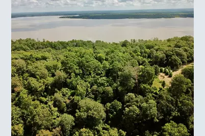 11.5 Acs Fm 92 S, Woodville, TX 75979 - Photo 5