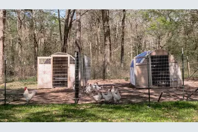 1533 Kickapoo Road, Groveton, TX 75845 - Photo 41